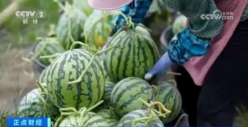 今日吃瓜事件 今日吃瓜热门大瓜每日更新,紧跟今日热门大瓜，揭秘娱乐圈最新动态